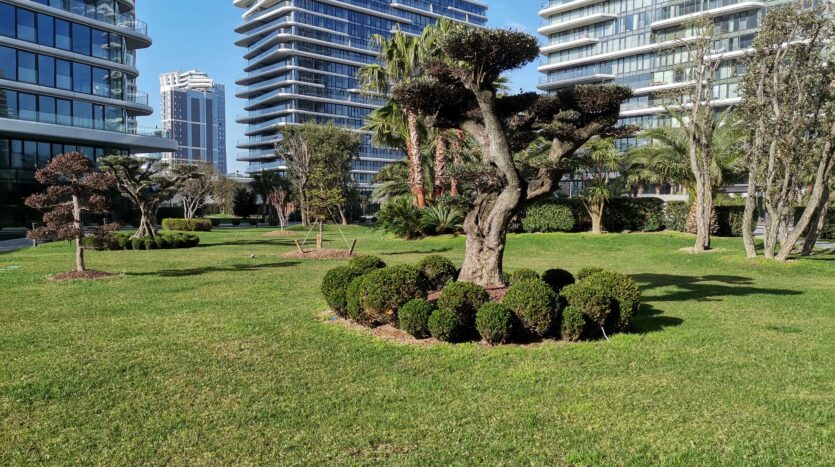 real estate Properties for Sale in Yedi Mavi Project